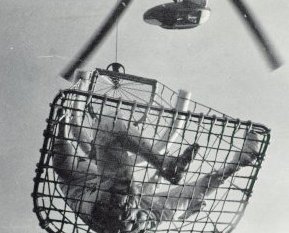Cage and Sling Recovery