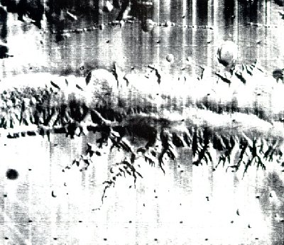 A photo of the Valles Marineris