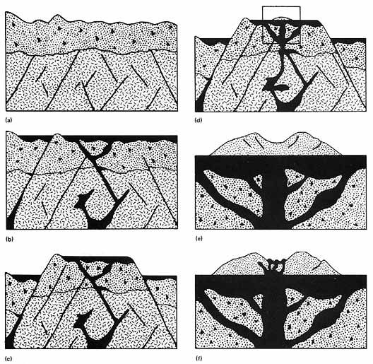 Figure 234 diagram shows a postulated sequence of events leading to the formation of the D-shaped structure